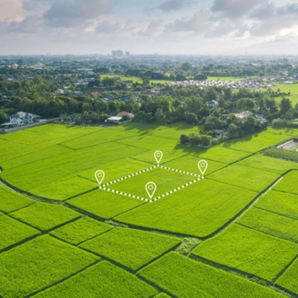 yellow and white illustrated happy pongal greeting instagram post